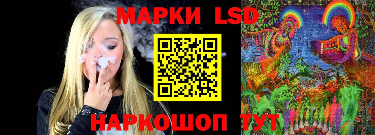 MEGA как войти  Вход с VPN  ЛСД экстази кислота  Заводоуковск  Лсд 25 экстази кислота 
