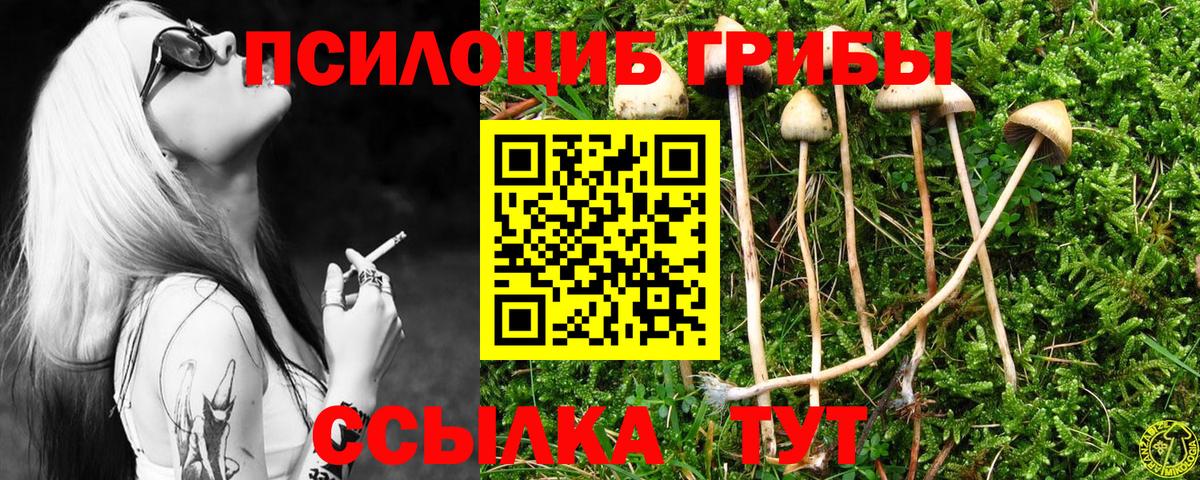Псилоцибиновые грибы прущие грибы Заводоуковск