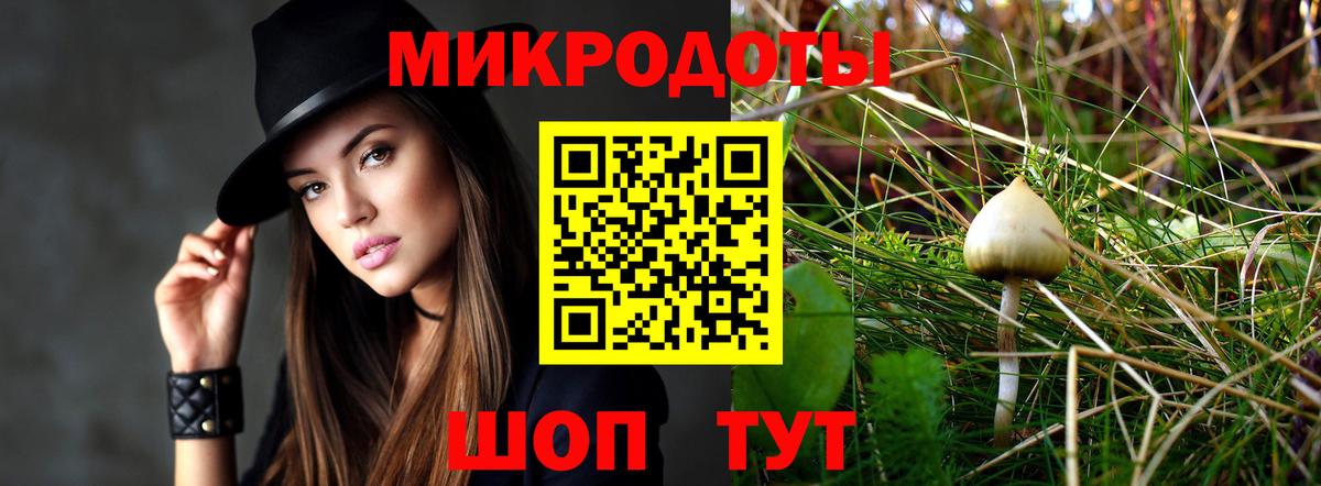 Псилоцибиновые грибы Cubensis  Вход с VPN  Заводоуковск  купить наркоту  Псилоцибиновые грибы Cubensis 
